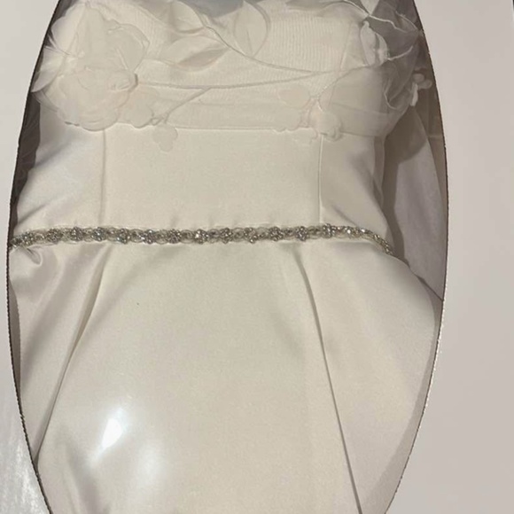 Cathedral Length Lace Veil